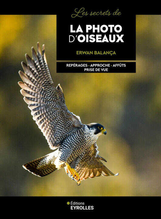 Les secrets de la photo d'oiseaux — Balança