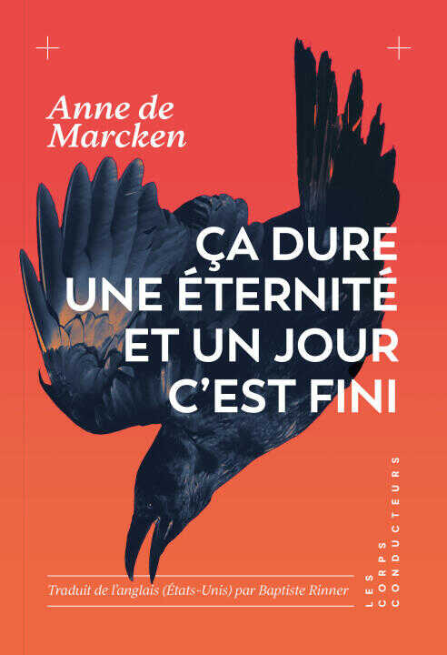 Ça dure une éternité et un jour c'est fini (TP) — De Marcken