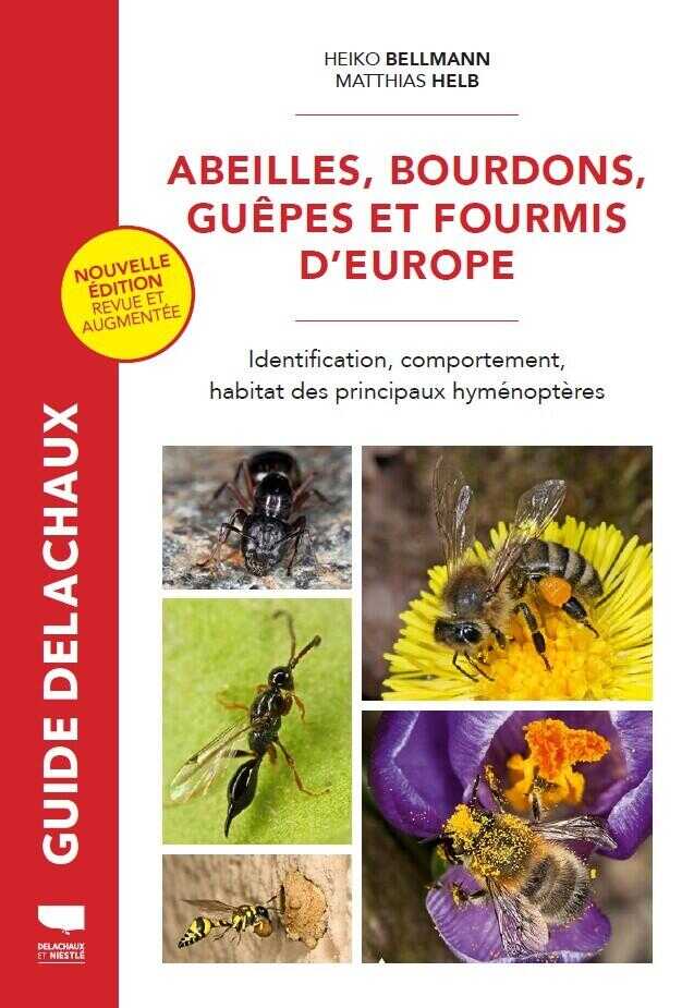 Abeilles, bourdons, guêpes et fourmis d'Europe — Heiko Bellmann