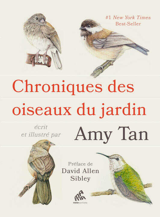Quand les oiseaux révèlent la magie du quotidien