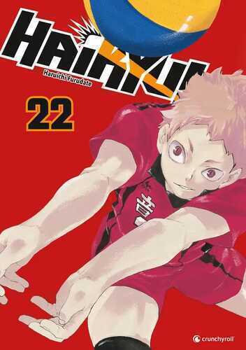Haikyu!! 22 — Haruichi Furudate