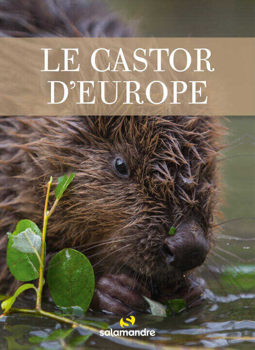 Le castor d'Europe — Angst