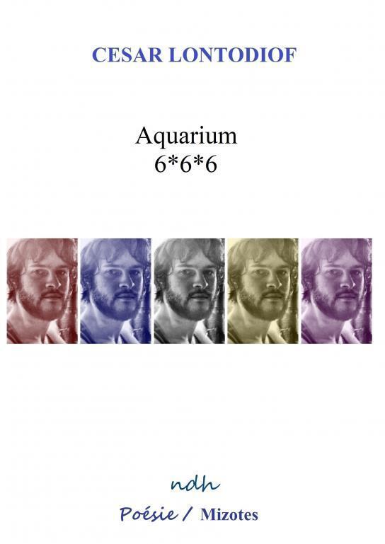 Aquarium 6*6*6