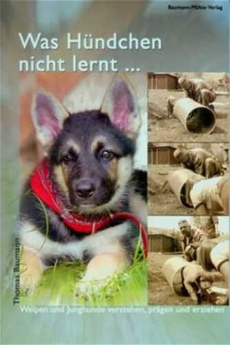 Was Hündchen nicht lernt...