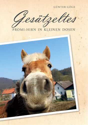 Gesätzeltes — Günter Göge