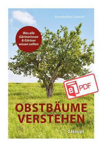 Obstbäume verstehen