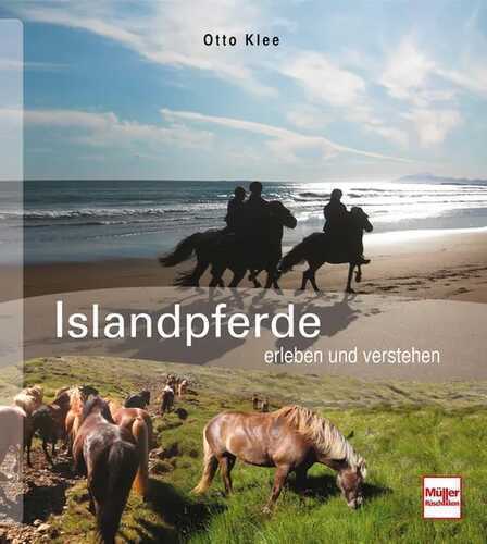 Islandpferde