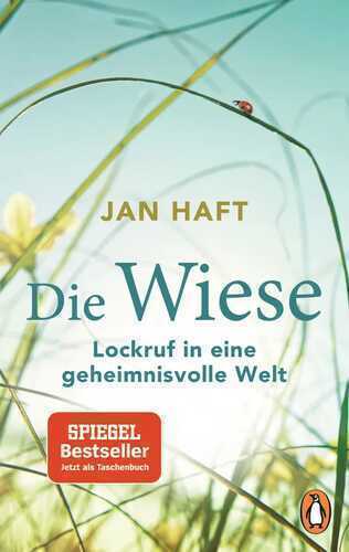 Die Wiese — Jan Haft