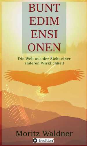 Bunte Dimensionen — Moritz Waldner