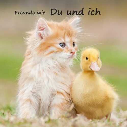 Freunde wie du und ich - das beste Freundebuch weit und breit