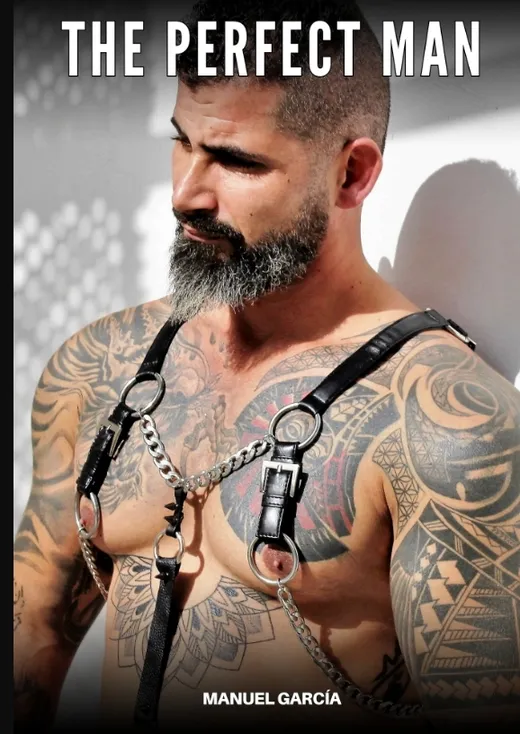 The Perfect Man