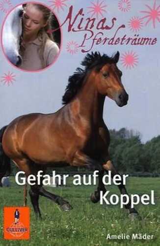 Ninas Pferdeträume - Gefahr auf der Koppel