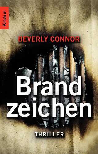 Brandzeichen: Thriller