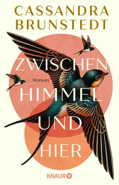 Zwischen Himmel und hier
