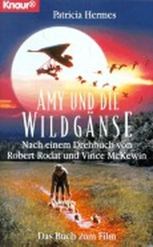 Amy und die Wildgänse