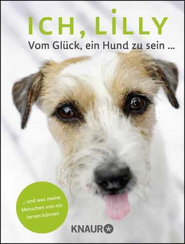 Ich, Lilly — Stefanie Reeb