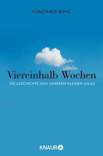 Viereinhalb Wochen — Constanze Bohg