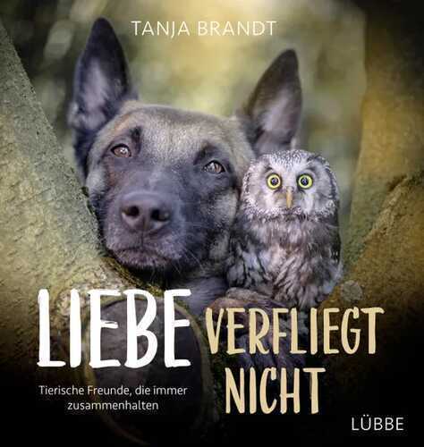 Liebe verfliegt nicht