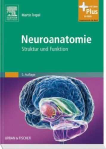 Neuroanatomie — Martin Trepel