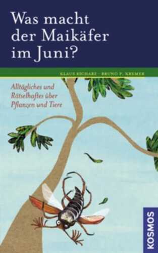 Was macht der Maikäfer im Juni?