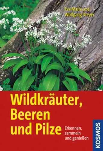 Wildkräuter, Beeren und Pilze