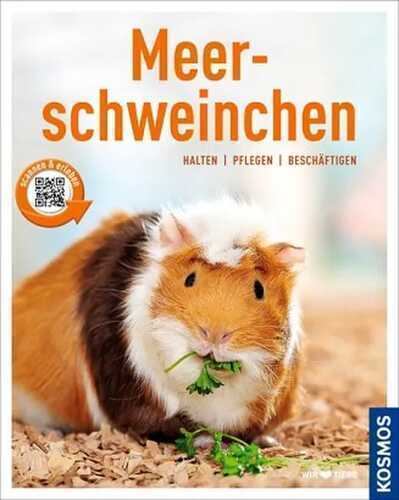Meerschweinchen