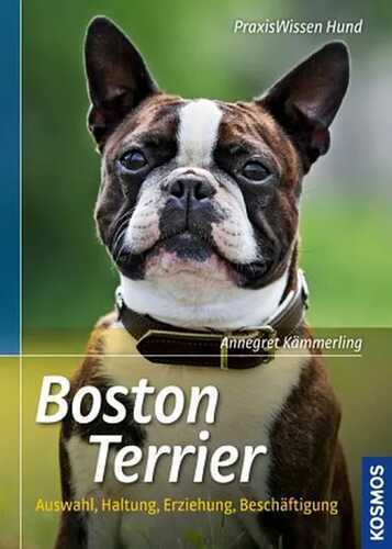 Boston Terrier — Annegret Kämmerling