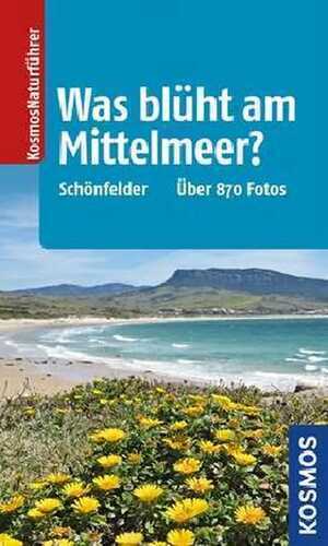 Was blüht am Mittelmeer?