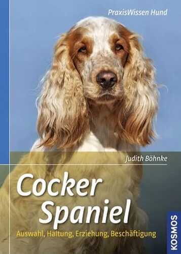 Cocker Spaniel — Judith Böhnke