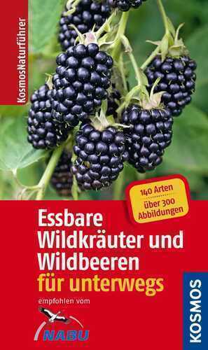 Essbare Wildkräuter und Wildbeeren für unterwegs