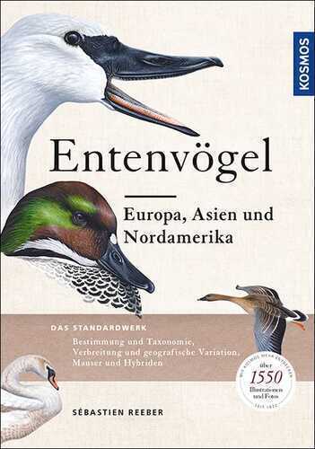 Entenvögel — Sebastien Reeber