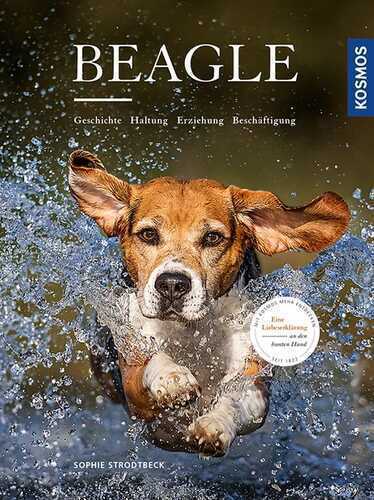 Beagle — Sophie Strodtbeck