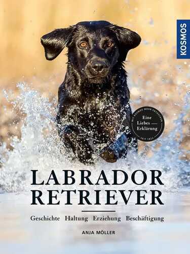 Labrador Retriever — Anja Möller