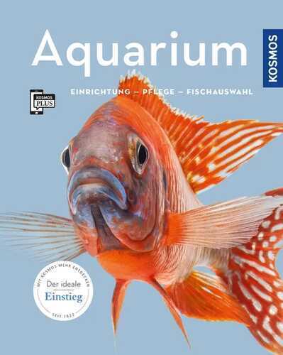 Aquarium — Angela Beck