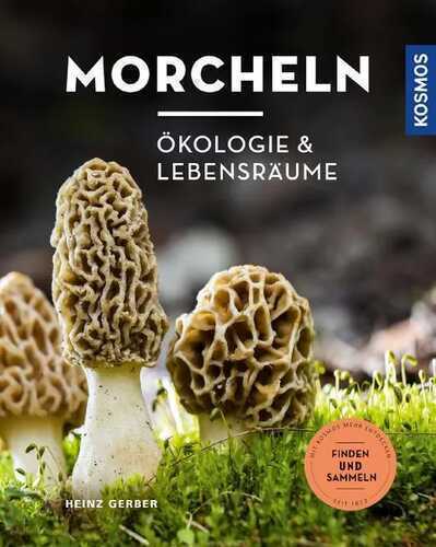 Morcheln — Heinz Gerber