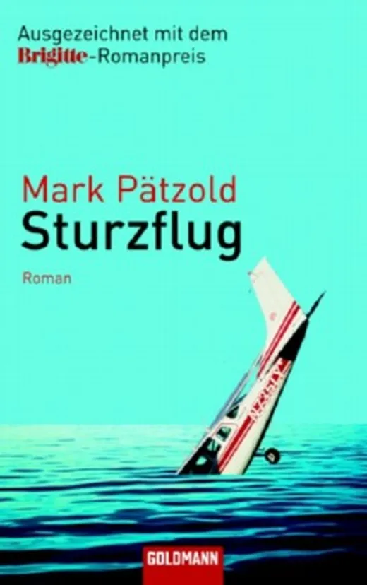 Sturzflug