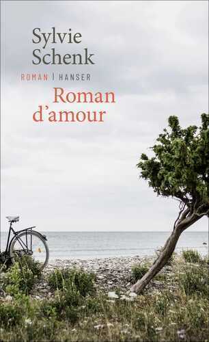 Roman d’amour — Sylvie Schenk