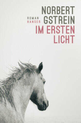 Im ersten Licht
