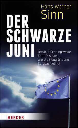 Der Schwarze Juni — Hans-Werner Sinn