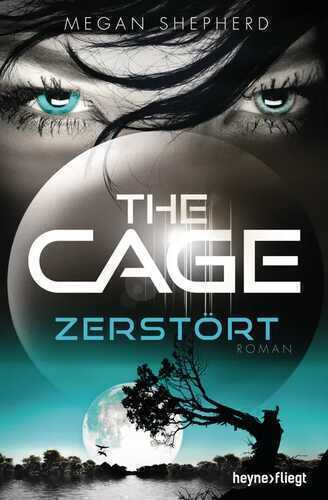 The Cage - Zerstört — Megan Shepherd