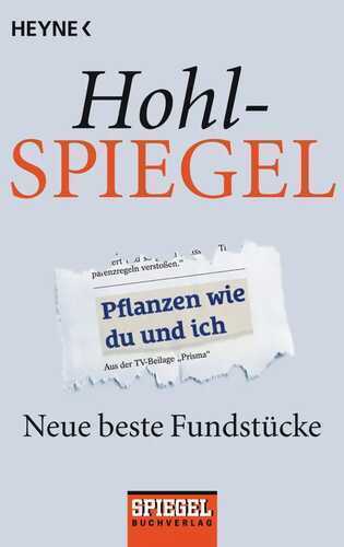 Hohlspiegel — Spiegel Verlag