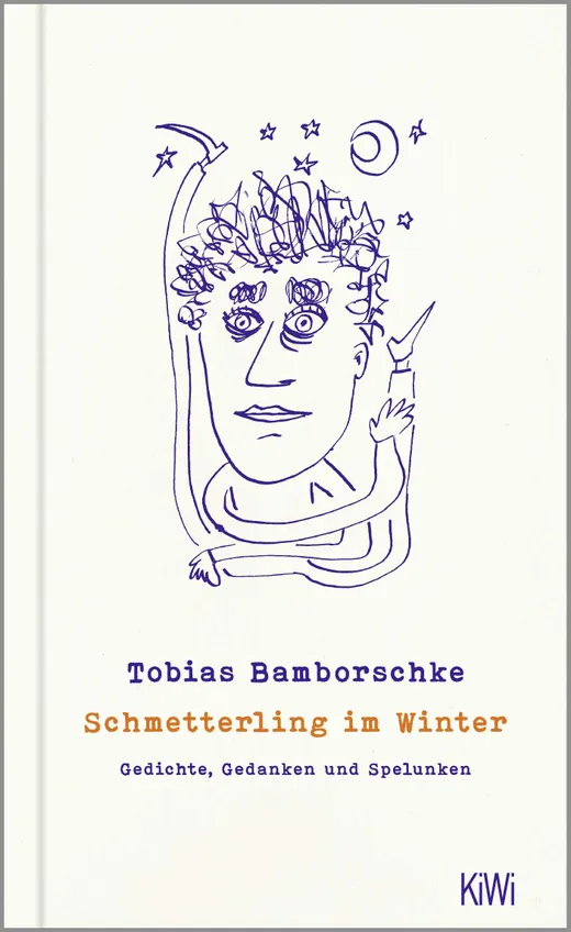 Schmetterling im Winter