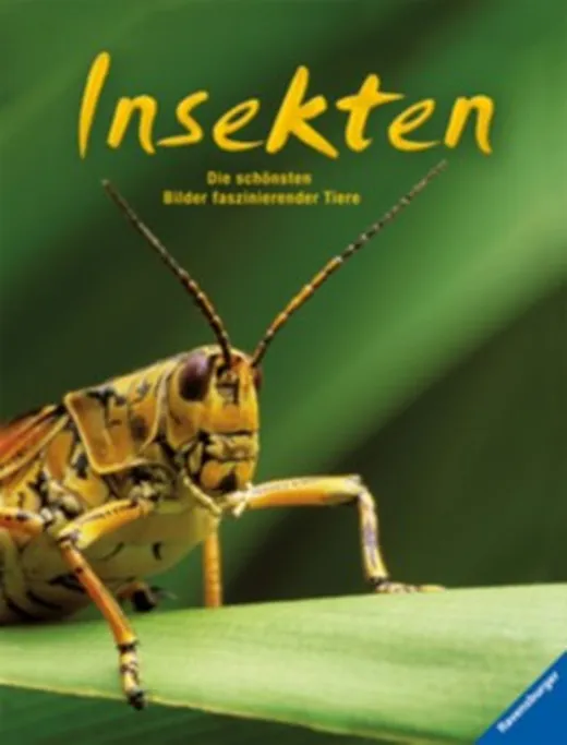 Insekten