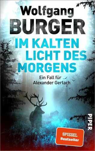 Im kalten Licht des Morgens