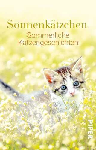 Sonnenkätzchen — Jone Heer