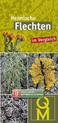 Heimische Flechten