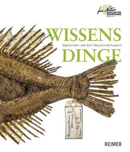 Wissensdinge — Anita Hermannstädter