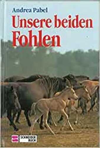 Unsere beiden Fohlen