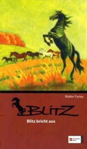 Blitz bricht aus — Walter Farley