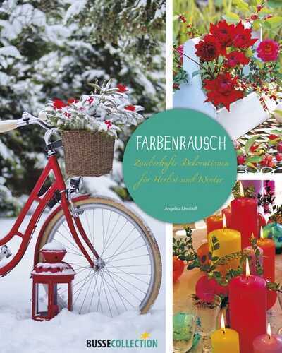 Farbenrausch — Angelica Linnhoff